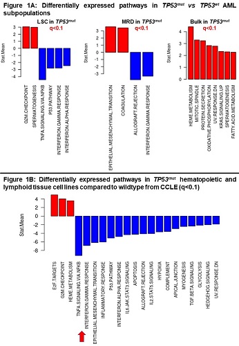 Tp53 Mutated Aml Is Associated With An Immune Dysfunction Eha Library C Issa G Jun 12